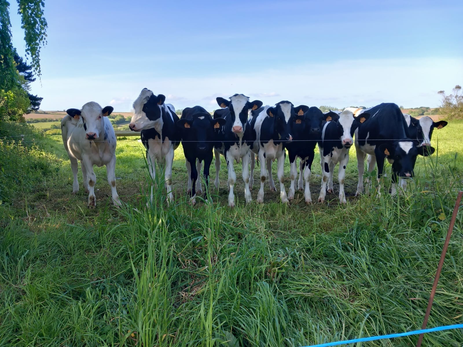 Mardi 16 mai : balisage, Korejou et croix